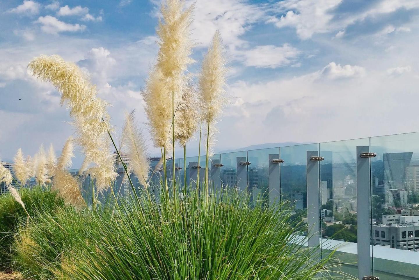 Luxurious High-Rise Hs Wifi, Amazing City Views Cidade do México Exterior foto